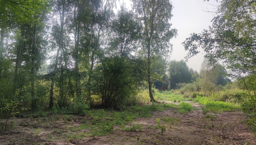 Działka Sprzedaż Borzęcin Duży Spacerowa